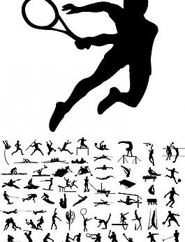 荷兰队创最差战绩，排协公告球队降级转战二级赛事争积分